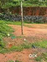 Vadakara villiyapally valliyad road 175000 /cent