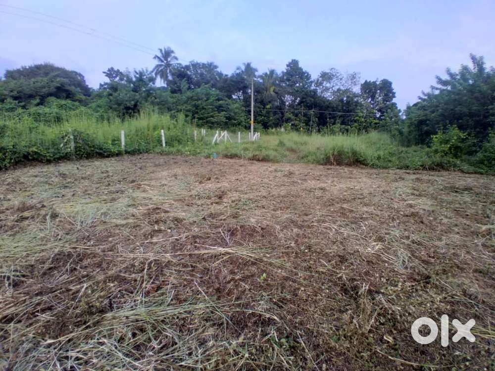 80 Cents Residential Plot for Sale – Karimbuzha, Palakkad
