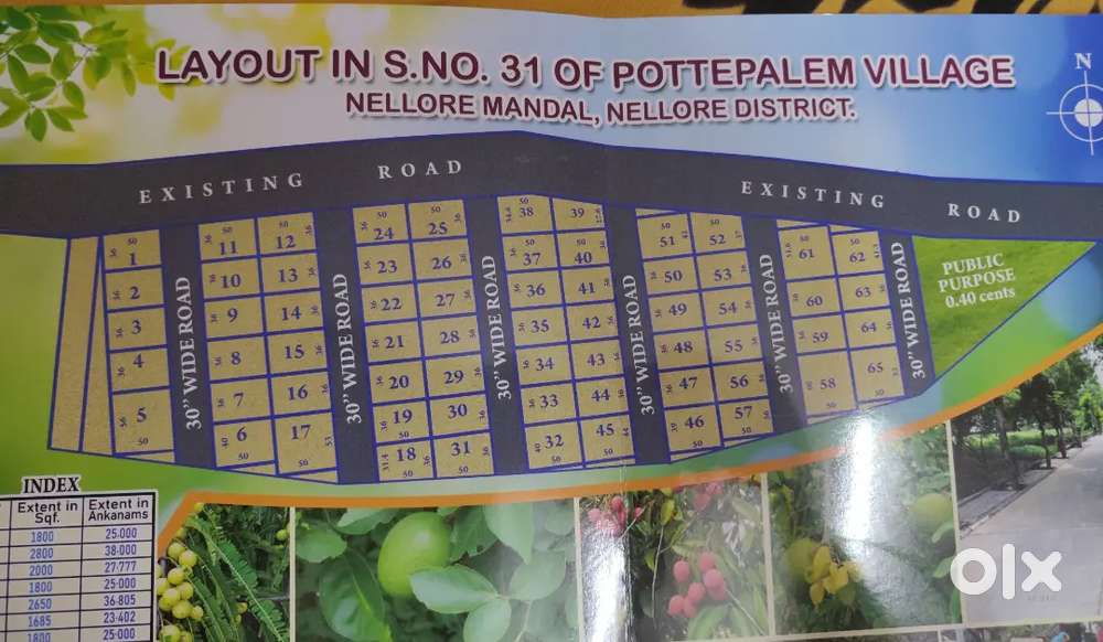 Shirdi Nagar Nellore pottepalem plots venture