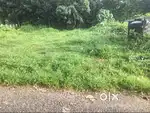 15 cent Land for sale in Elamgulam- Kottayam