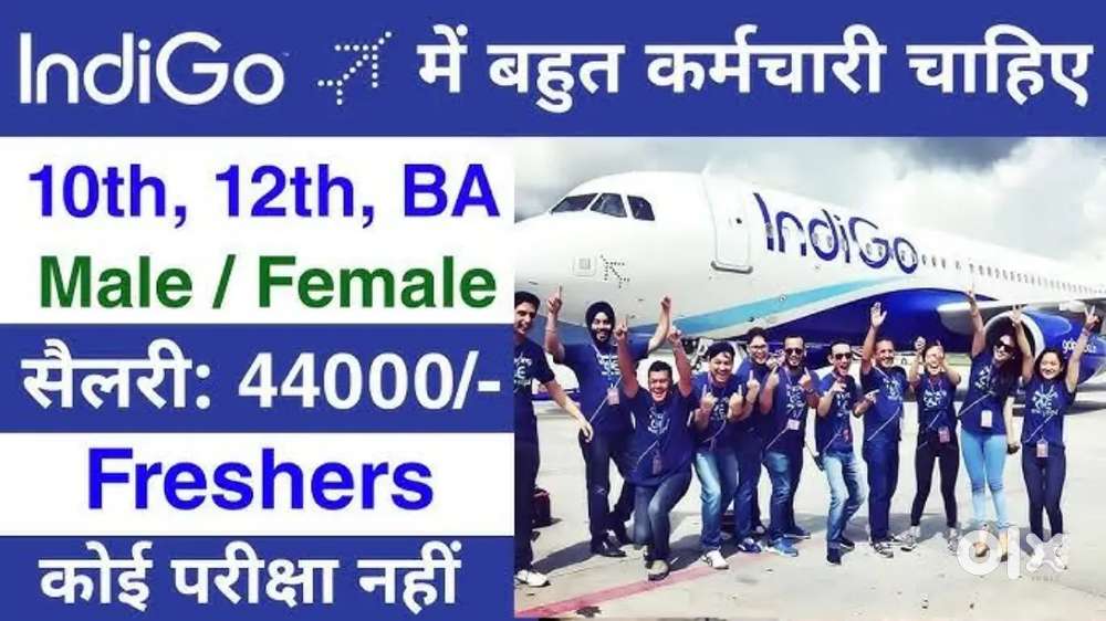 AIRPORT GROUND STAFF hiring  apply freshers  BHO