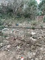 2.5/gonda chandmari