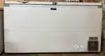 Llyod Double Door Deep Freezer