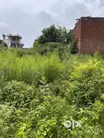 Plot for sale 16x45