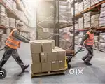 Wanted Picker and Loader  - Akola