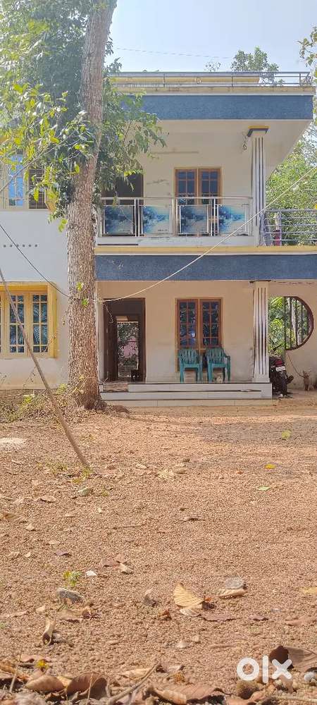 Vembayam kattaykal MC road 900mtr distance 12.25cent plot and 3bhk