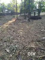 Plot for Sale
