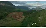 Investment Farmland