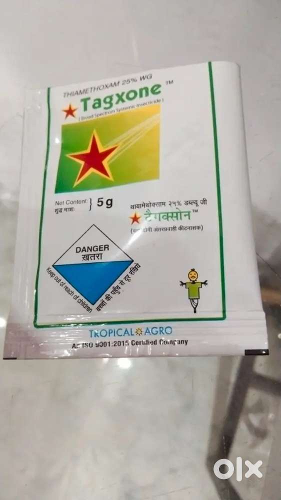 Isme kabhi  bhi dimak nhi lagti hai