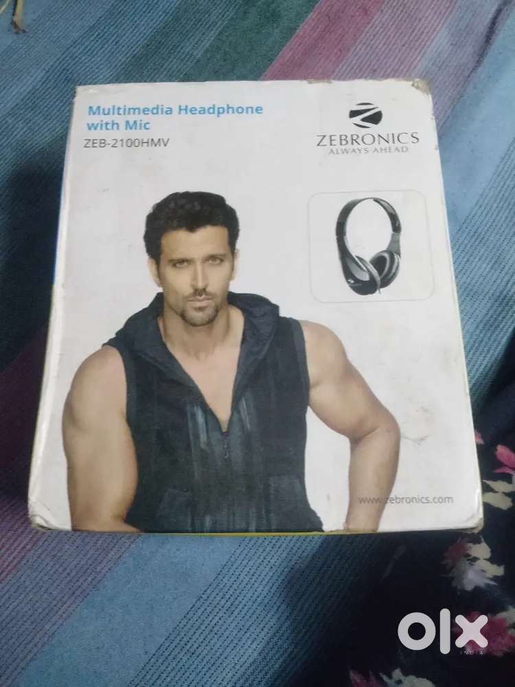 Headphones with mic