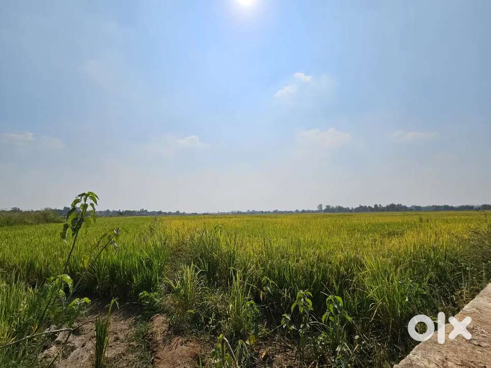 2.2 Acre on road prime agricultural land General.