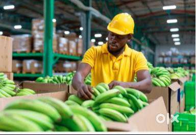 Hiring Picker/Packer 10th Pass job