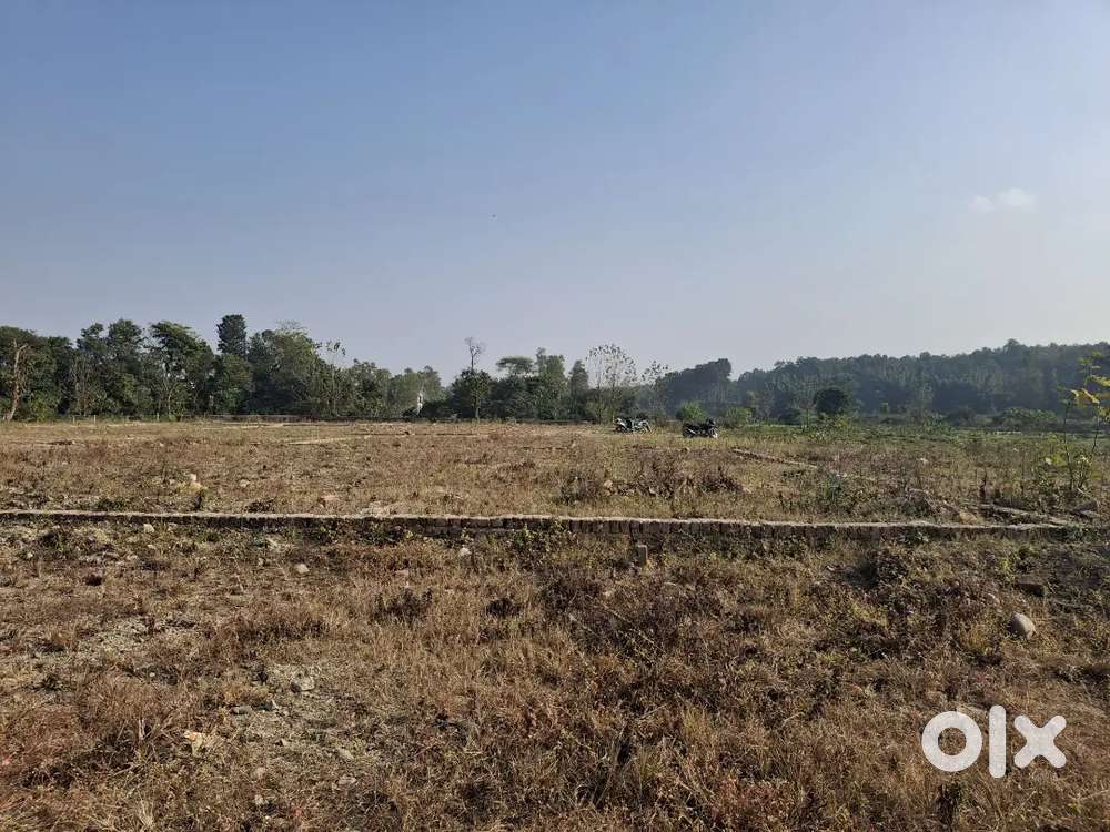 Plot For Sale in Badowala