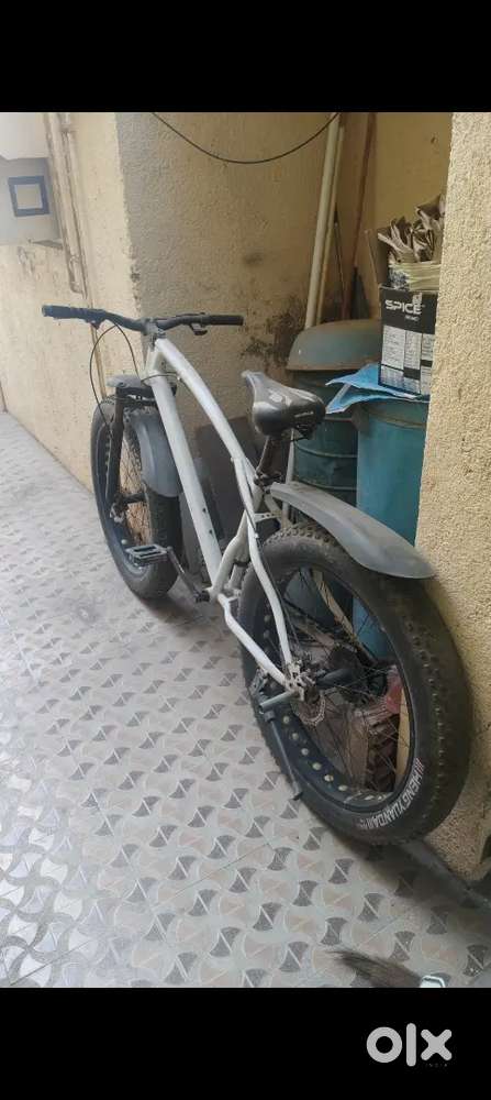 Fat bike cycle