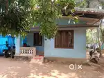 15 cent plot & old house