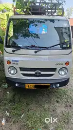 Tata ace petrol