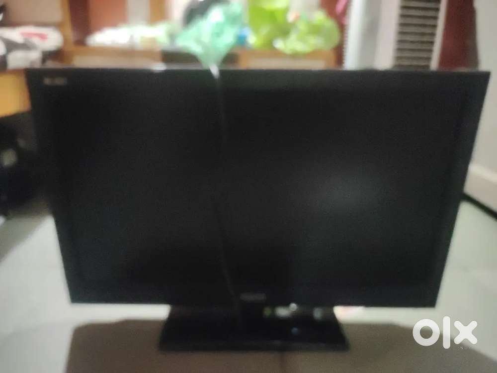 Mitasha led