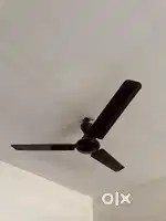 Ceiling Fan & Table Fan