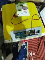 Egg incubator