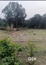 Dehradoon highway on road
