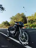 Pulsar 150 old model