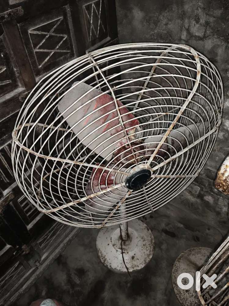 Fast fan for home