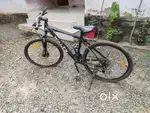 Waltx mountain new