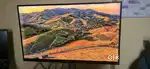 4k Monitor with Bill