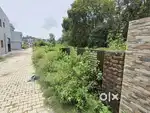 college, School ,Hospital, and market near about.