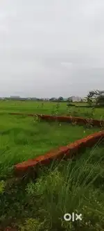 Plots sell