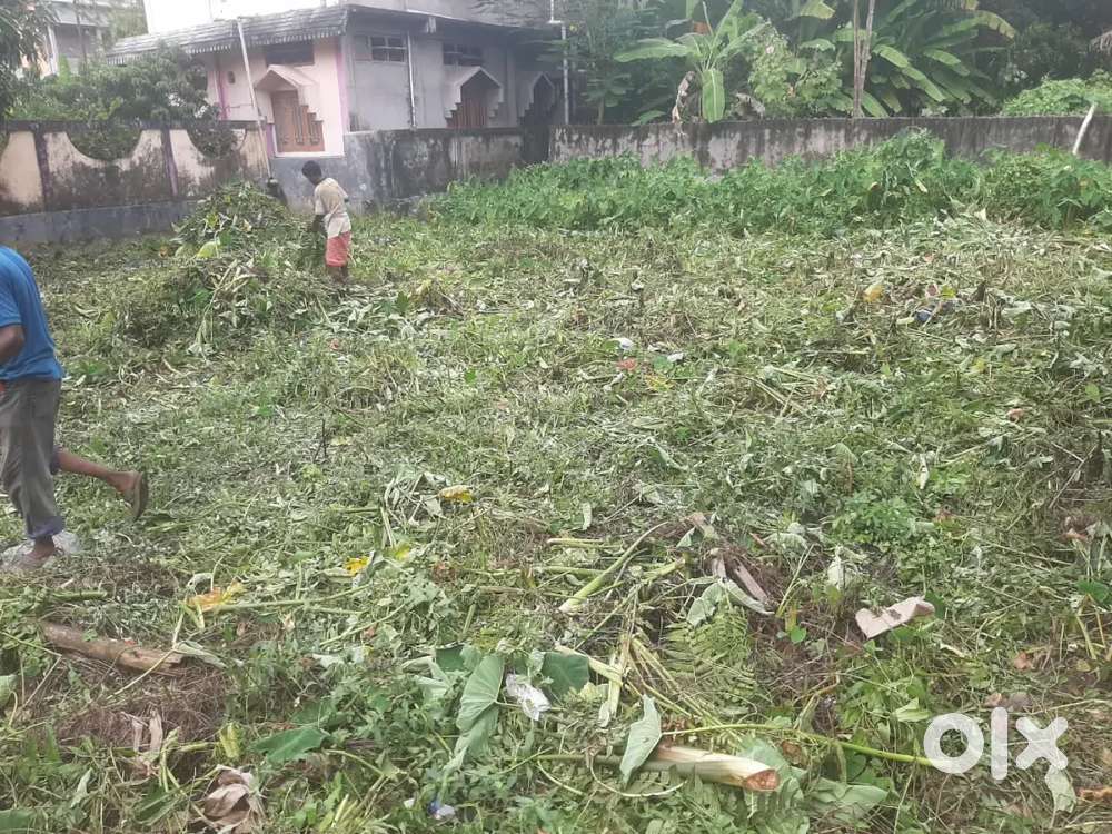 East & west 35.6 inch, north and south 50 feet