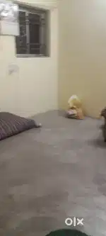 Room partner female
