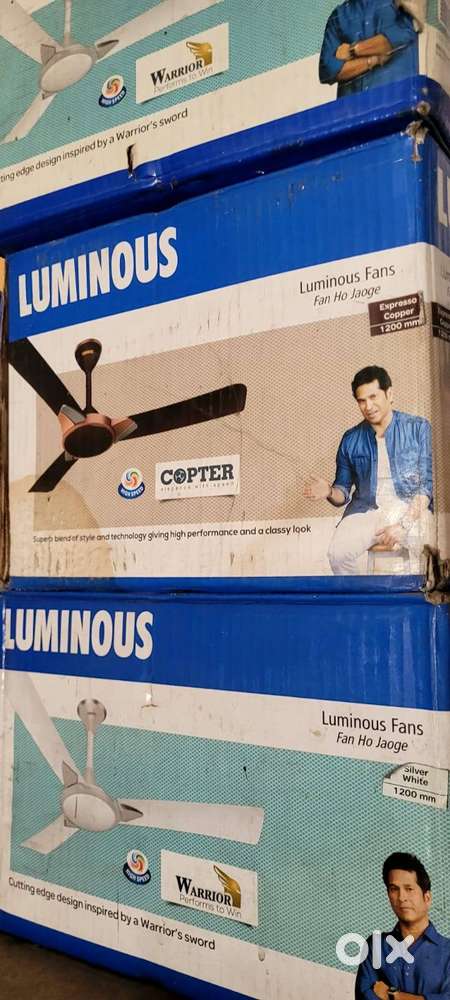 Luminous Ceiling Fans