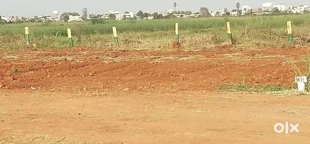 Pathapadu open plots near to West Bypass