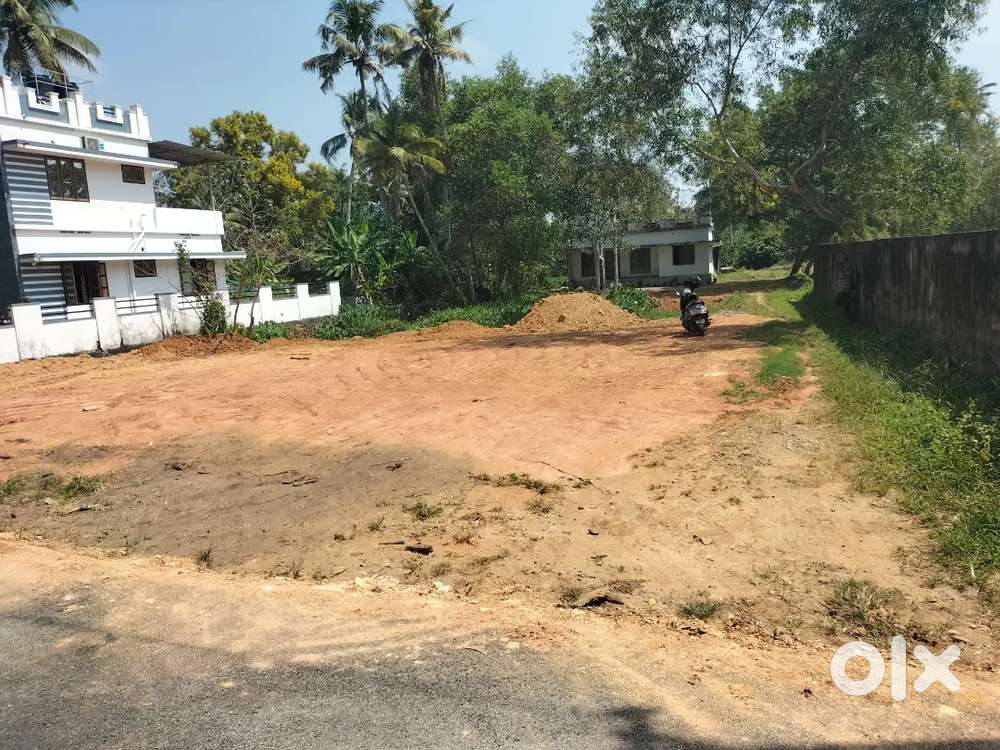 Price: 4 lakh per cent