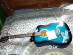 Acoustic guitar