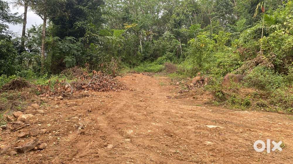 Land for sale in Mallappally