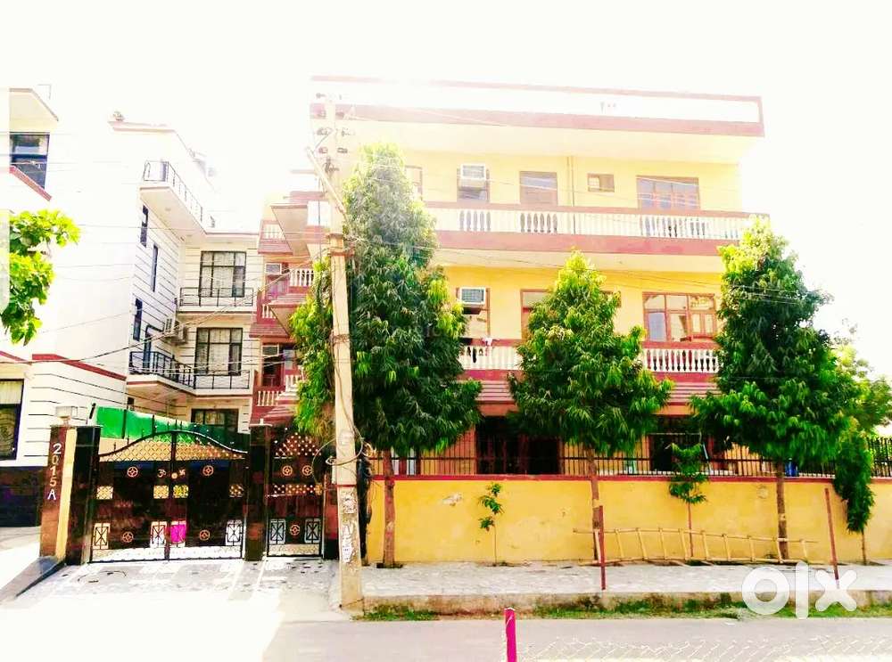 Pg Near JBM Group, Horizon, Pinkerton, Infinite, Delhivery, ARCI, AMB