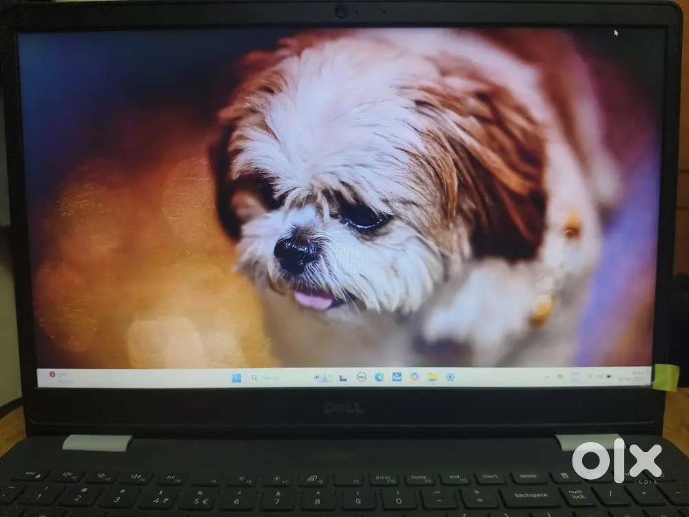 Dell Intel Core i5, 11th gen