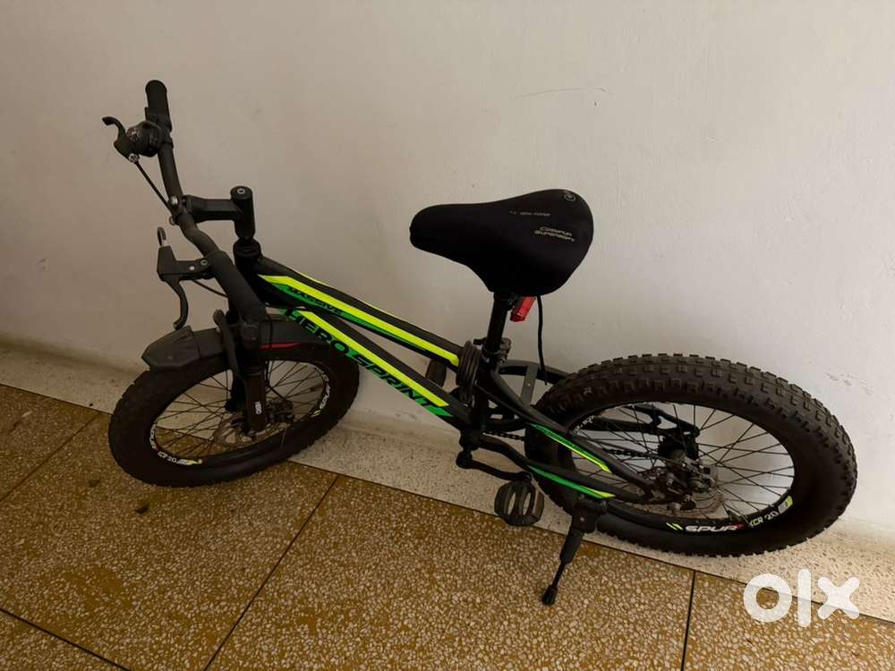 Bicycle black