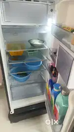 2024 fridge Haier