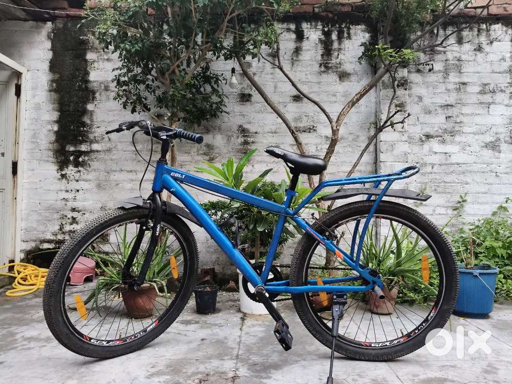 11 month old cycle