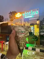 Needed fresher or pro chef also for continental