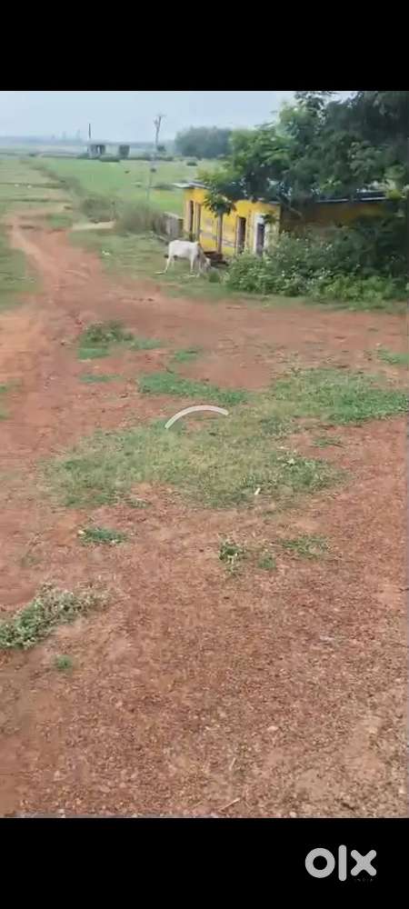 Plot available 20 acre