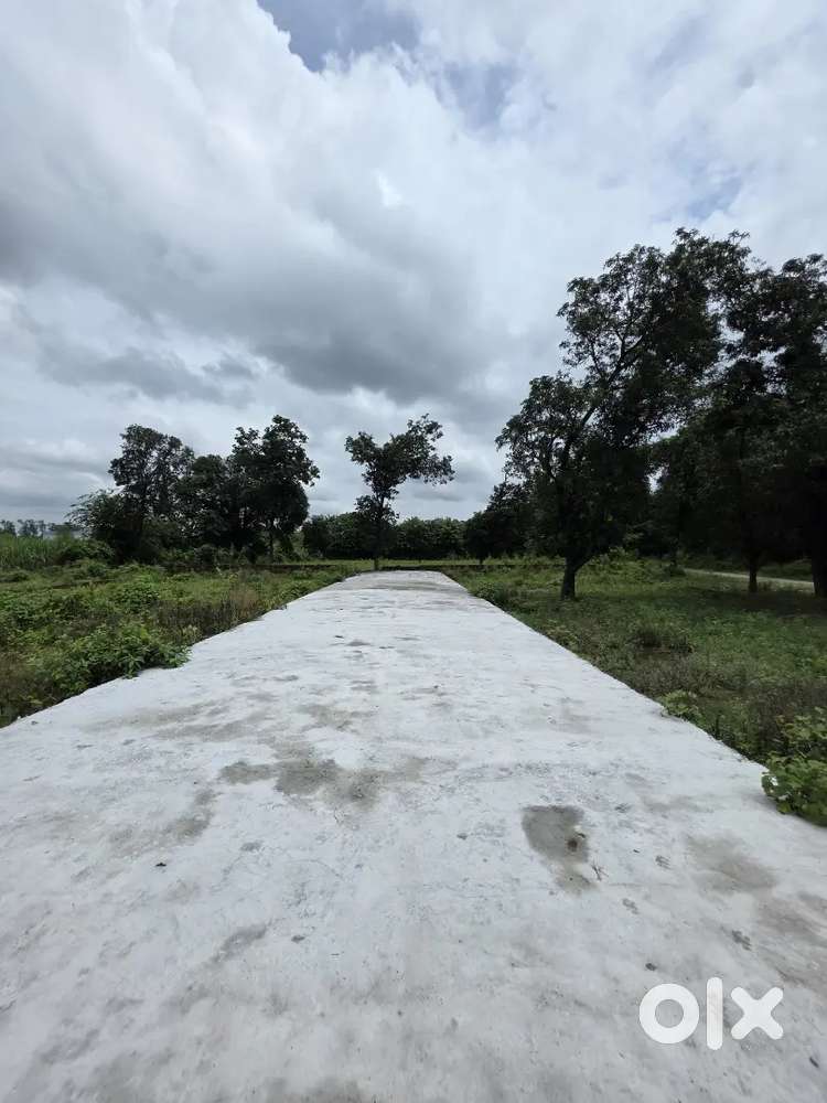 Residential plot within nagar nigam