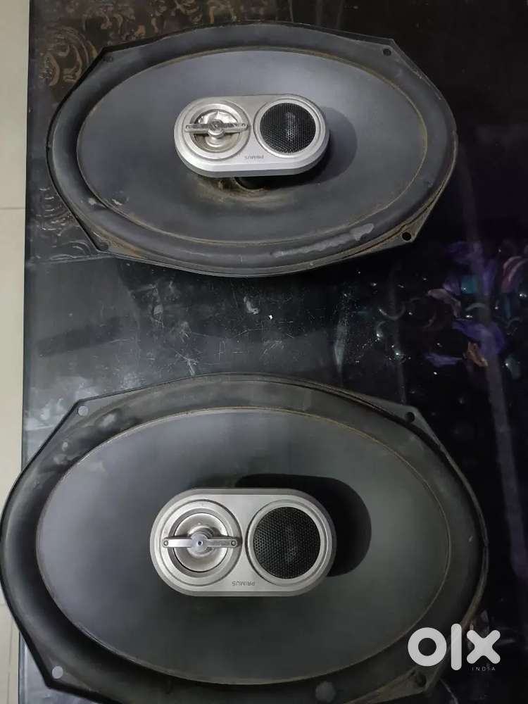 Car speaker