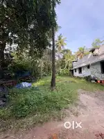 10 cent plot for sale