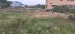 Prime 1250 Sqft Plot for Sale – Karasamangalam