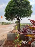 Low Budget Residential Plots for Sale