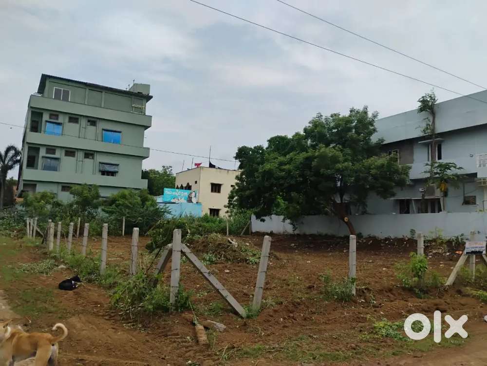 538 sq yards land for sale at Konthamuru